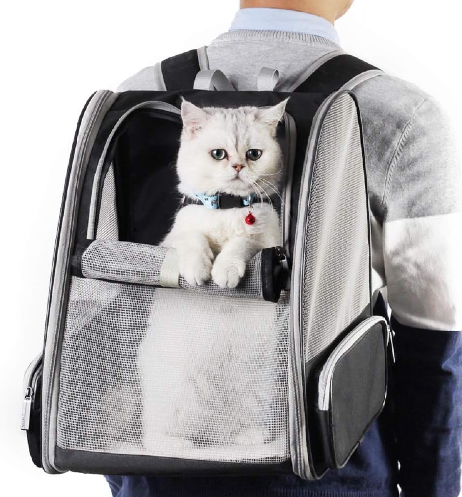 Innovative Traveler Bubble Backpack Pet Carriers for Cats and Dogs