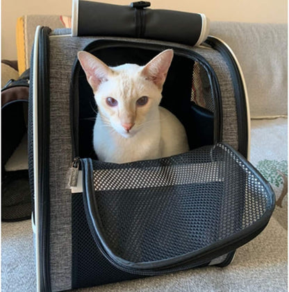 Innovative Traveler Bubble Backpack Pet Carriers for Cats and Dogs