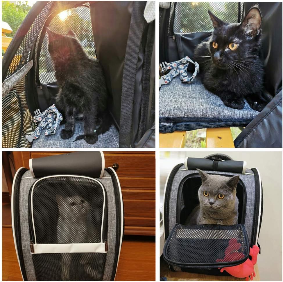 Innovative Traveler Bubble Backpack Pet Carriers for Cats and Dogs