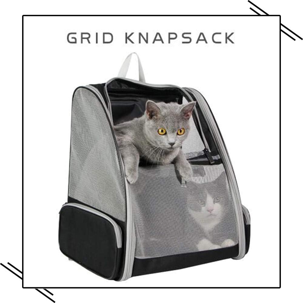 Innovative Traveler Bubble Backpack Pet Carriers for Cats and Dogs